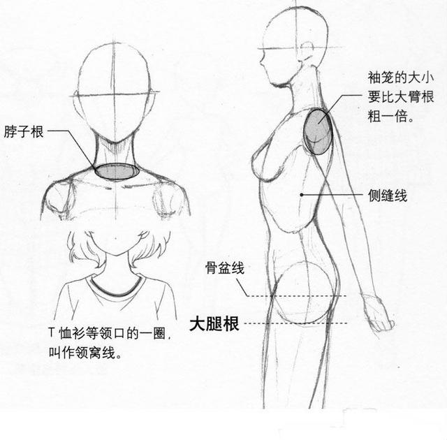 太全了！超实用的人体动态绘制方法教程，教你画好人体~-图12