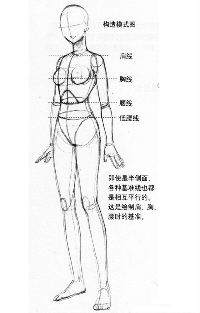 太全了！超实用的人体动态绘制方法教程，教你画好人体~-图13